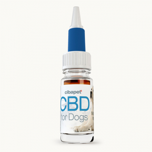 Óleo CBD 4% para Cães