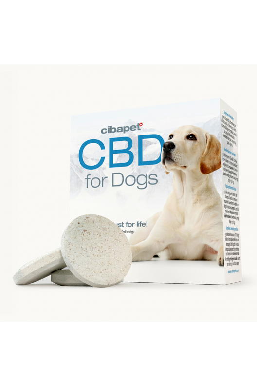 Pastilhas CBD para Cães