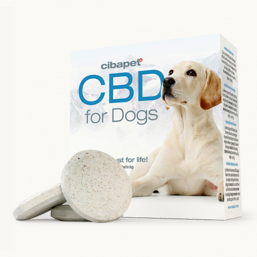 Pastilhas CBD para Cães