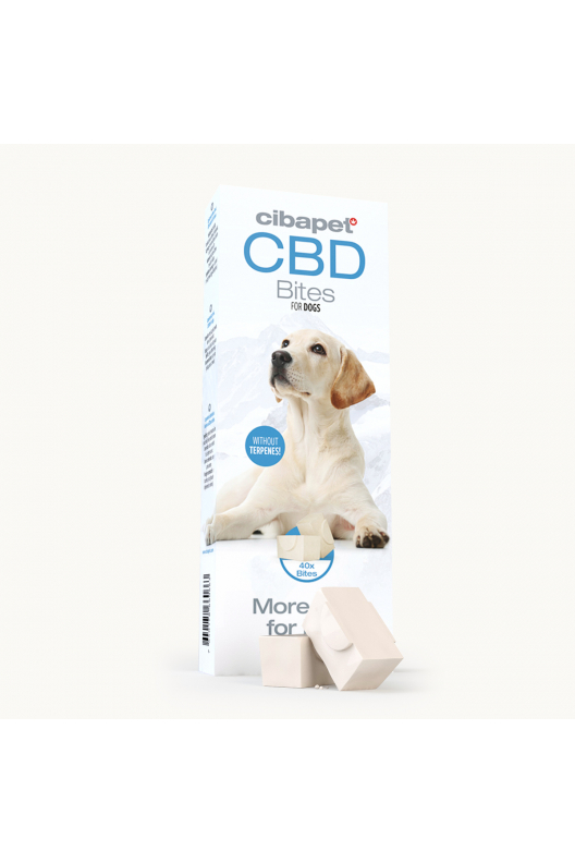 Petiscos CBD para Cães