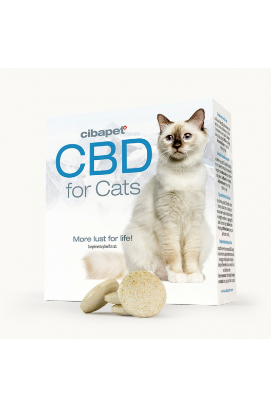 Pastilhas de CBD para Gatos