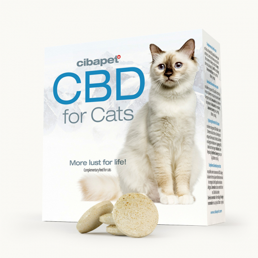 Pastilhas de CBD para Gatos