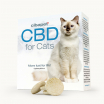 Pastilhas de CBD para Gatos