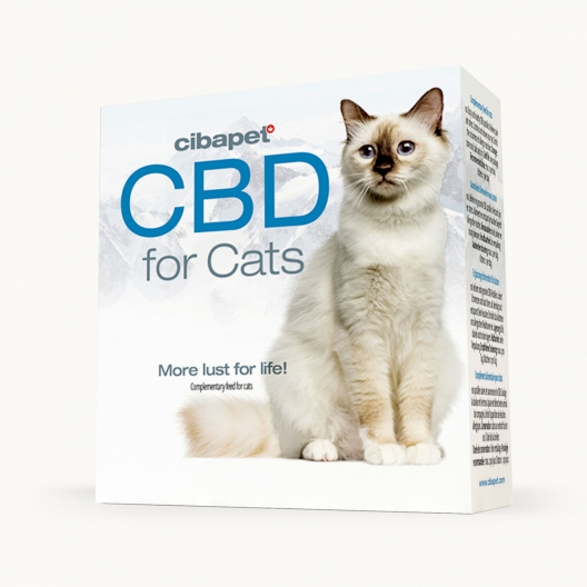 Pastilhas de CBD para Gatos