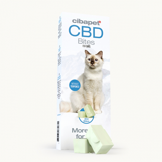 Petiscos CBD para Gatos