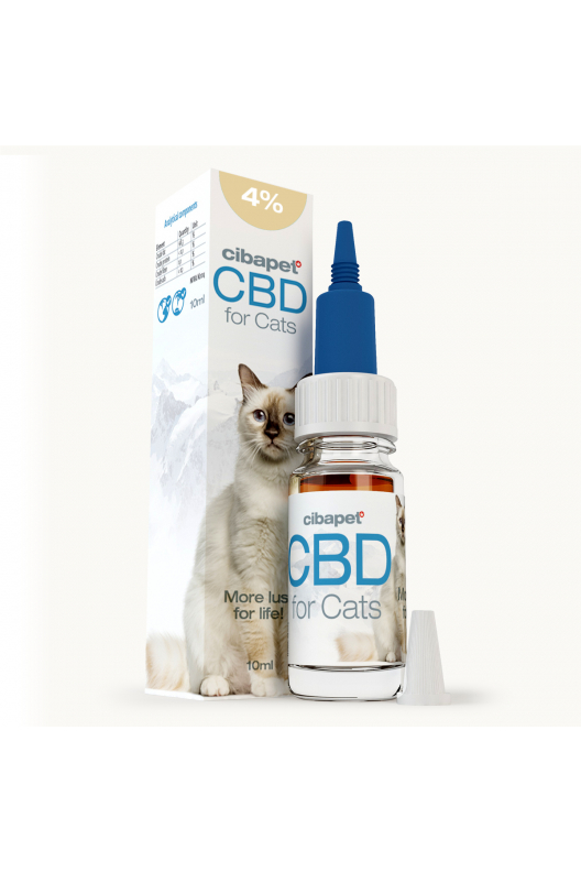 Óleo CBD 4% para Gatos Óleo CBD 4% para Gatos