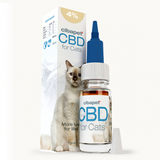 Óleo CBD 4% para Gatos