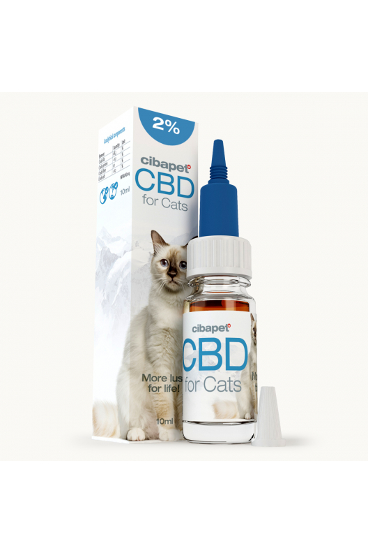 Óleo CBD 2% para Gatos