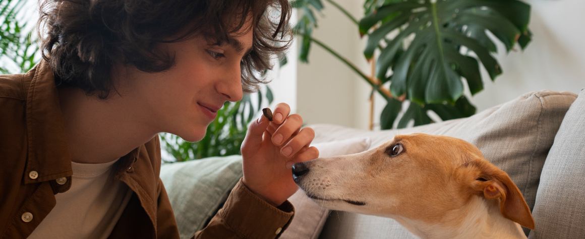 O óleo CBD não está a funcionar para o seu cão