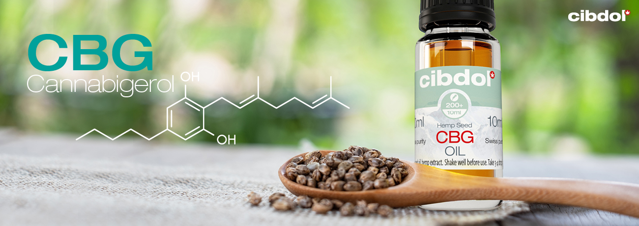 O que é o CBG (Cannabigerol)?