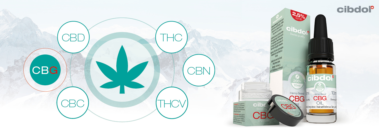 O que é o CBG (Cannabigerol)?