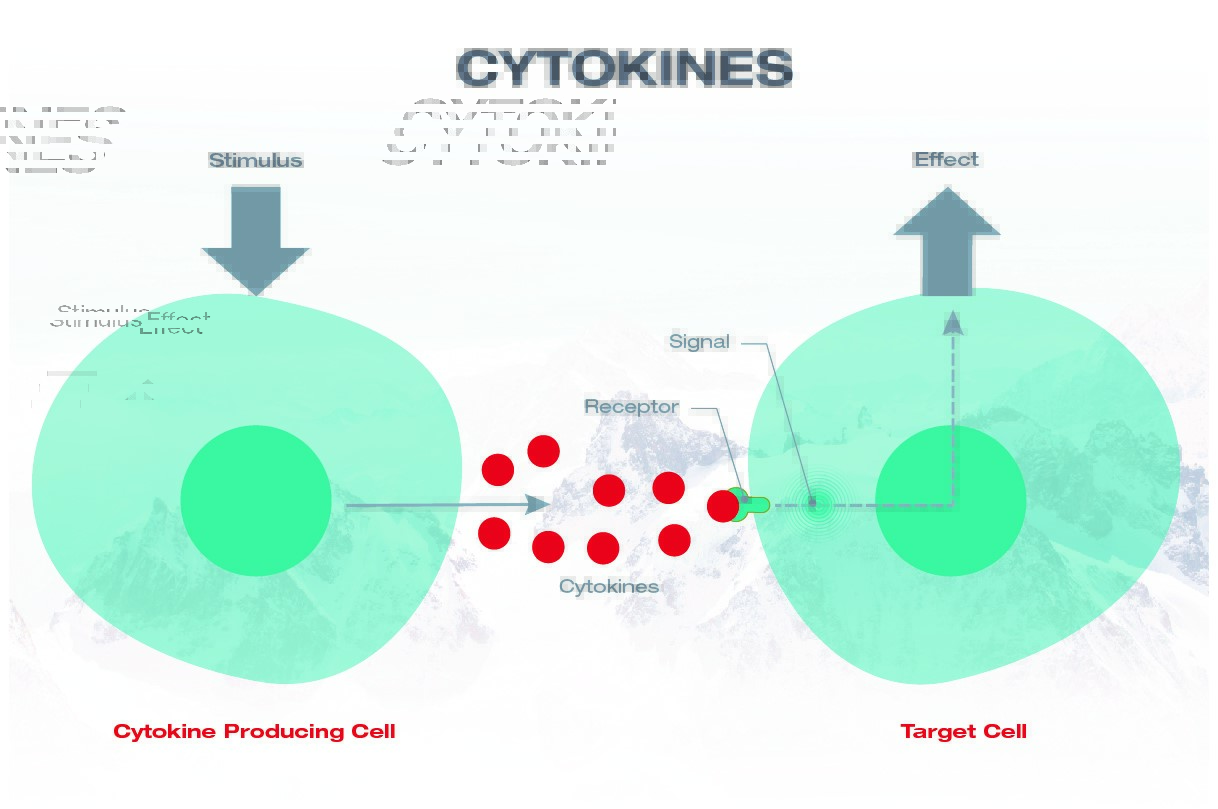 Basic mechanism of Cytokine