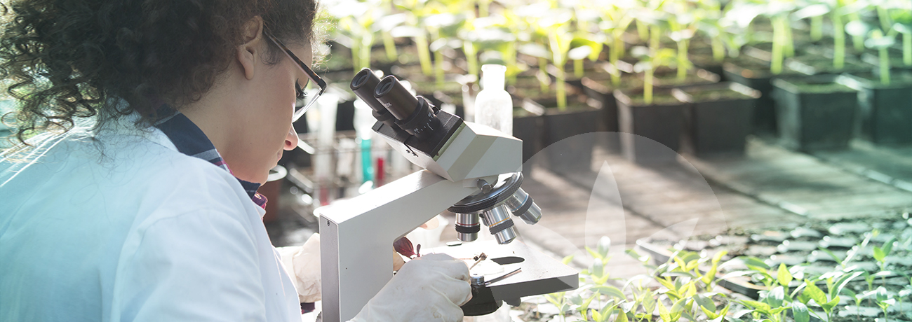 Woman doing research