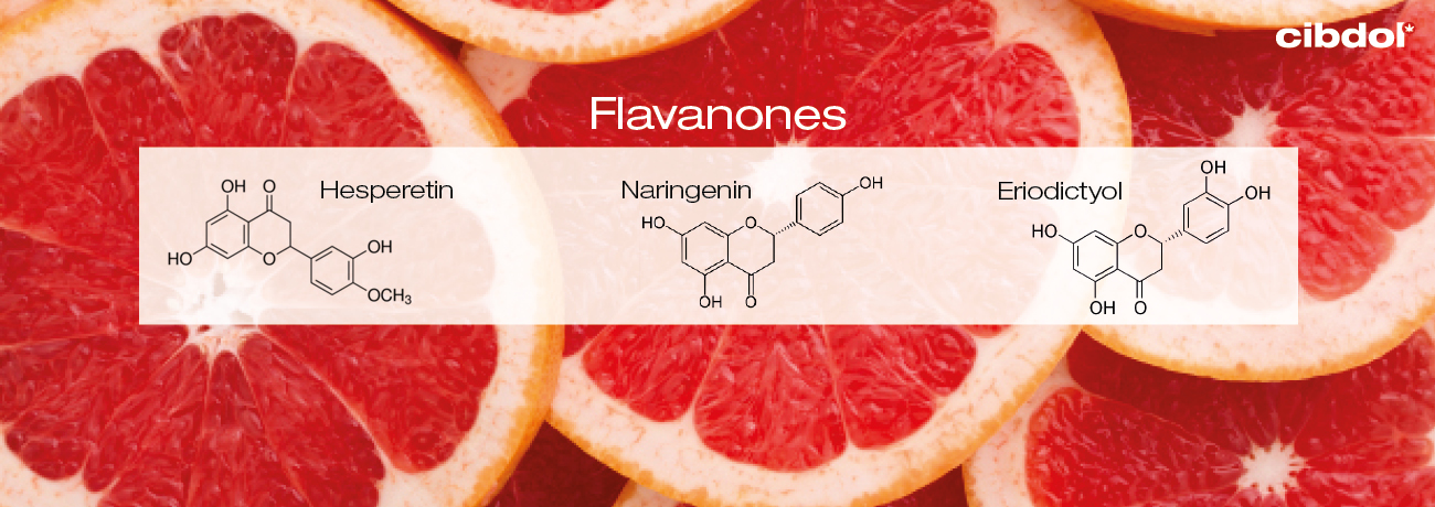 O que São as Flavanonas?