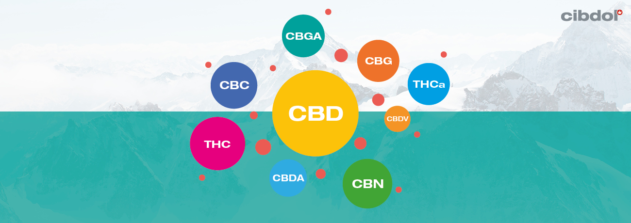 O que é o Óleo CBD de Espetro Integral?