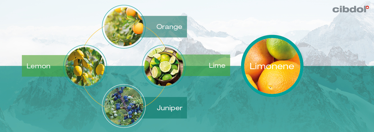 O que é o Limoneno?