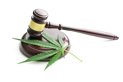Legal cannabis