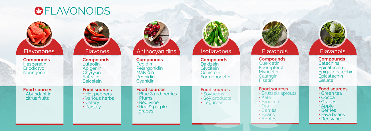 Exemplos de flavonoides