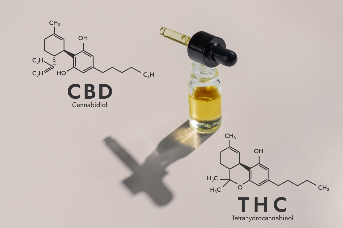 Que tipo de cânhamo devo utilizar para produzir óleo CBD?