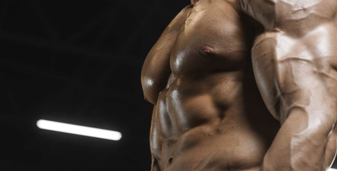 Os cordyceps aumentam os músculos?