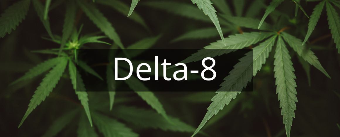 O que é o Delta 8?