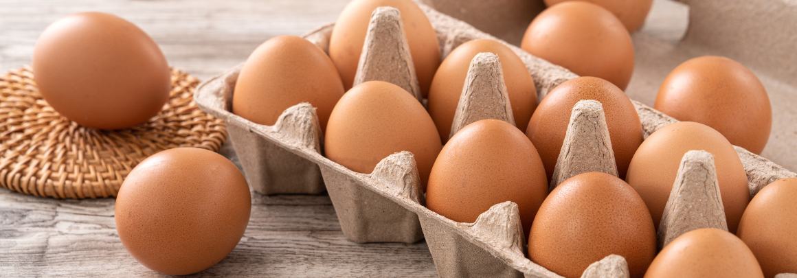 Os ovos têm mais ómega 3 ou ómega 6?
