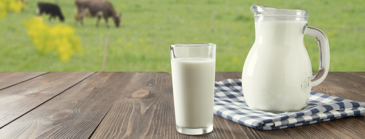 O leite tem ácidos gordos ómega 3?