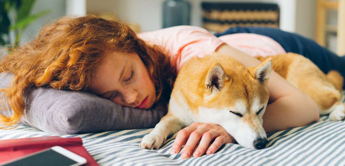 dormir com animais de estimação