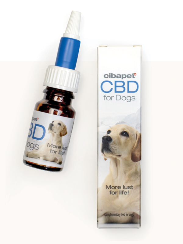 CBD para Cães