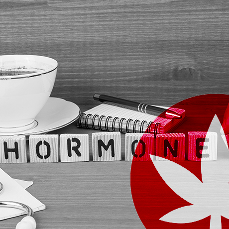 O CBD Afeta As Suas Hormonas?