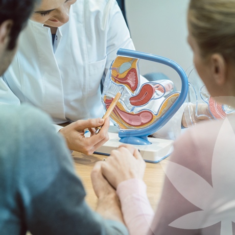 O CBD Pode Ajudar a Fertilidade?