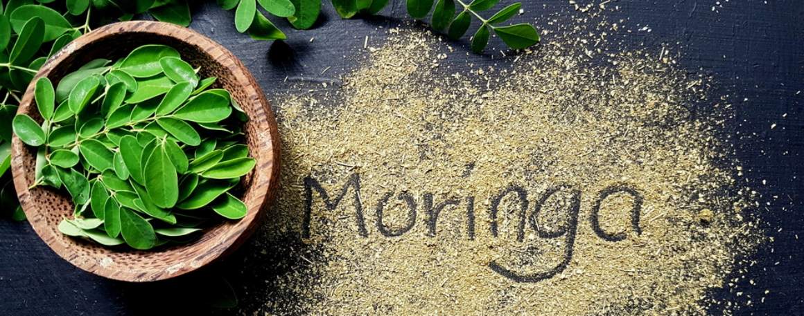 Moringa : Benefícios para a saúde e dicas de utilização