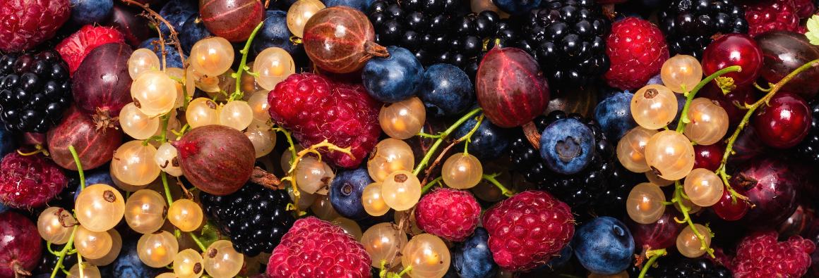 Que fruta é muito rica em ómega 3?