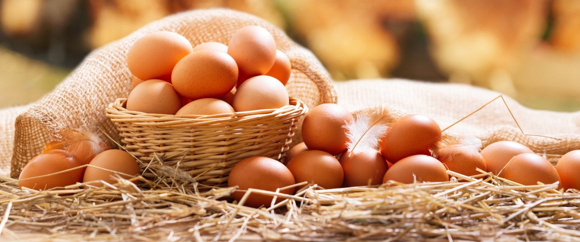 Qual é a quantidade de proteínas de um ovo?